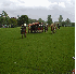 Ermine street guard