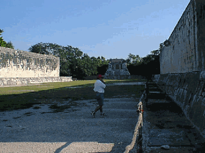 The Ball Court